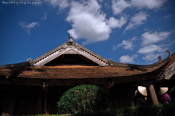 [ Photo ] - Tùy Hứng Shot - Tiện Tay Up - Rảnh Vô Xem ^^  _DSC0071