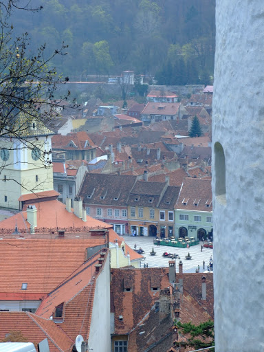 Turism cu bicicleta Tara%20Birsei%20(51)