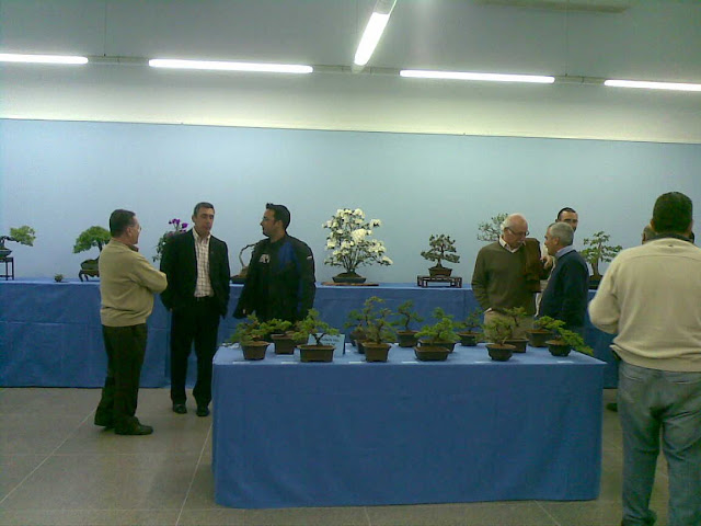 EXPOSICION EN FUENGIROLA,CASA DE LA CULTURA. 02042009%28037%29