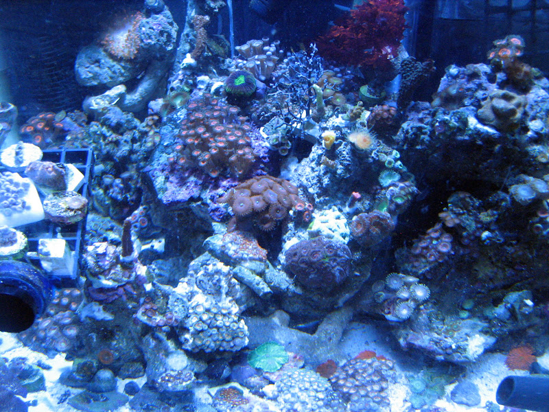 24 by 24 cube zoa IMG_0242