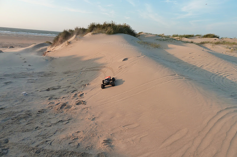 Sortie dans les dunes de Dunkerque P1010258