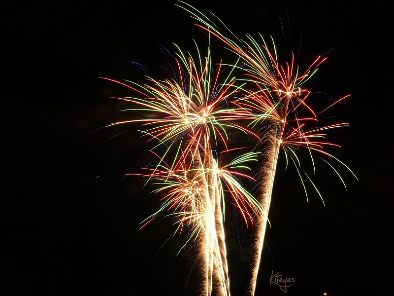 Feux d' artifice P1060438_redimensionner