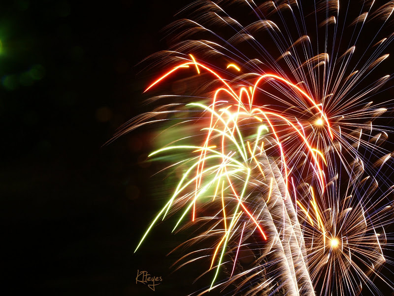 Feux d' artifice P1060462redimensionner