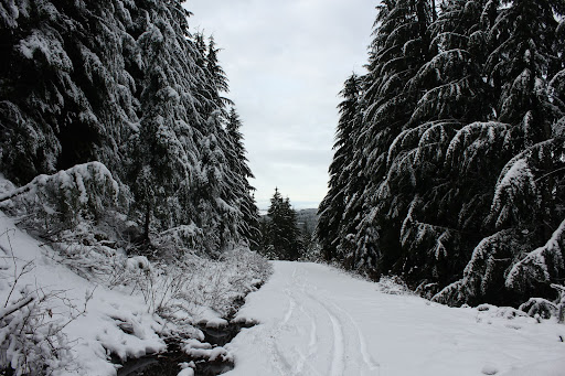 12-16-10 - High Country Snow IMG_0126