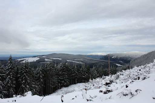 12-16-10 - High Country Snow IMG_0220