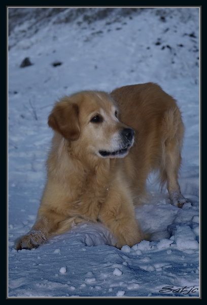 Ma Pepette à la neige (Lumix G1) Les%20Menuires%20072