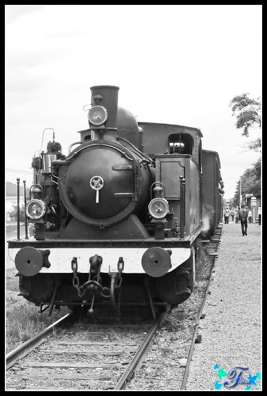 Voyage en Alsace dans le train d'antan..... P1030099