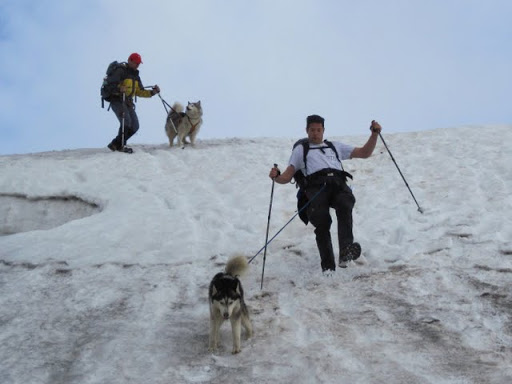 Schneebergland-Dogtrekking 2010%2005%2029%2B30%20Schneeberg-DT%20206b