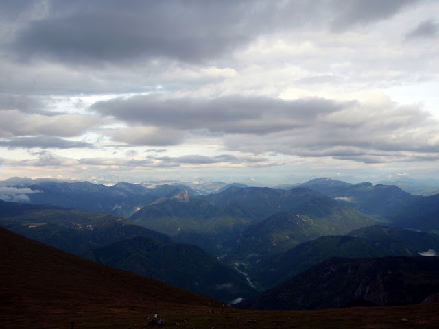 Schneebergland-Dogtrekking P5303845