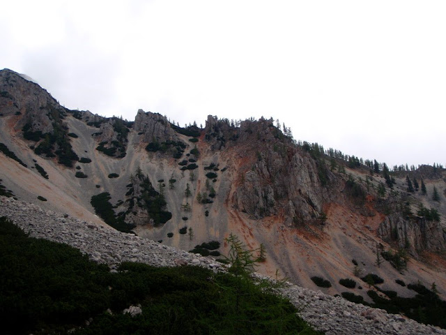 Schneebergland-Dogtrekking P5303878