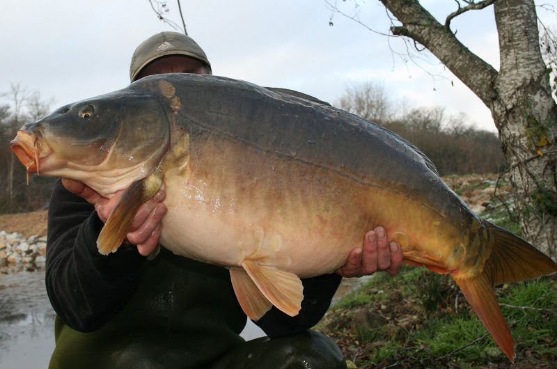 Etang De Planchon - 152 “Never Before Caught” Carp! 36