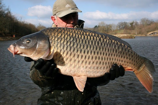 Etang De Planchon - 152 “Never Before Caught” Carp! 45