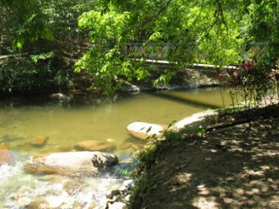 Lata Jarum & Pulau Chekas, Ulu Dong, Raub Pulau%20chekas%202