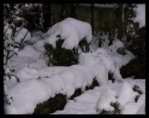 tombe la neige ...(MAJ) P1170859