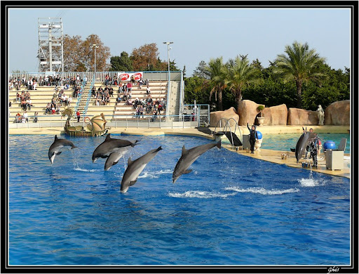 Marineland P1100319