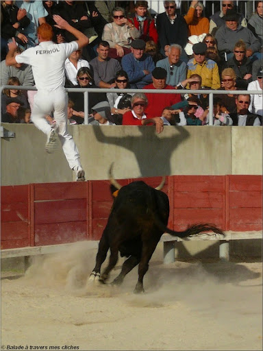 tradition camarguaise (rajouts du 9/11/09) P1110219