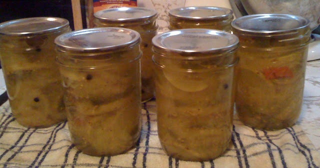 Rampicante pickles! (Newbie canning) Photo-784104