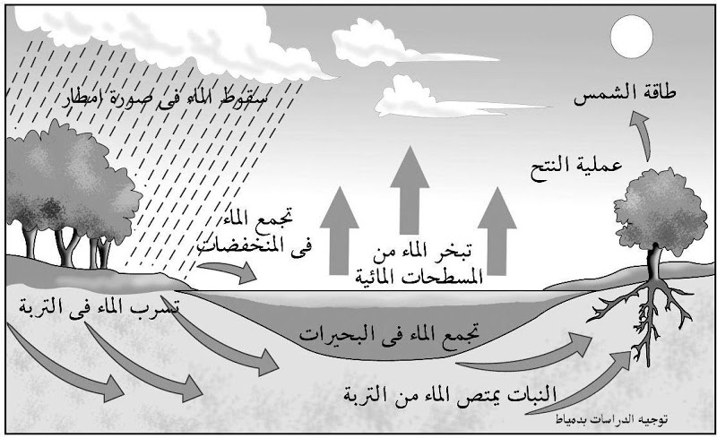 لماذا البحر مالح Image6