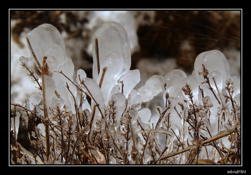 captures glaciales P1120813-1_GF