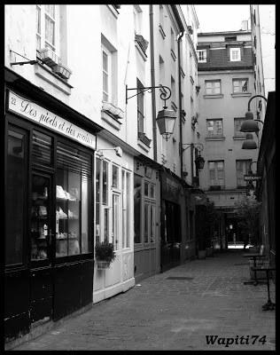 Une semaine printannière à Paris 33.Passage