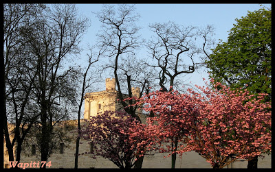 Une semaine printannière à Paris 45.Vincennes