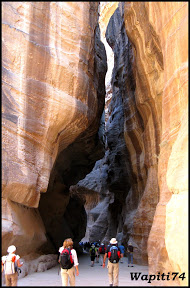 Jordanie : au pays des Nabatéens, des Grecs, des Croisés... et de Dame Nature ! 285%20Petra