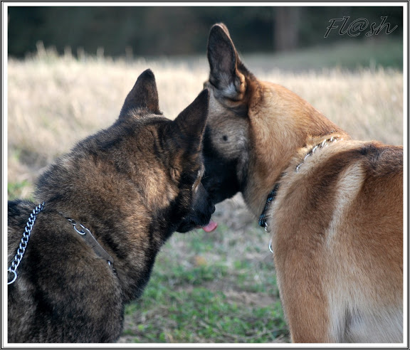 CouK/ Vivky / Reg et les humains ^^ DSC_0502