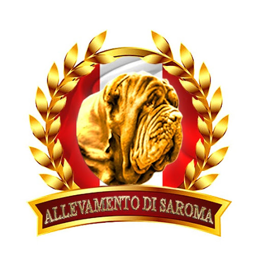 BIZONTE DEL NOLANO Logo%20