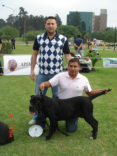 Algunas fotos del 5to match (Clase Cachorros) DSC00937