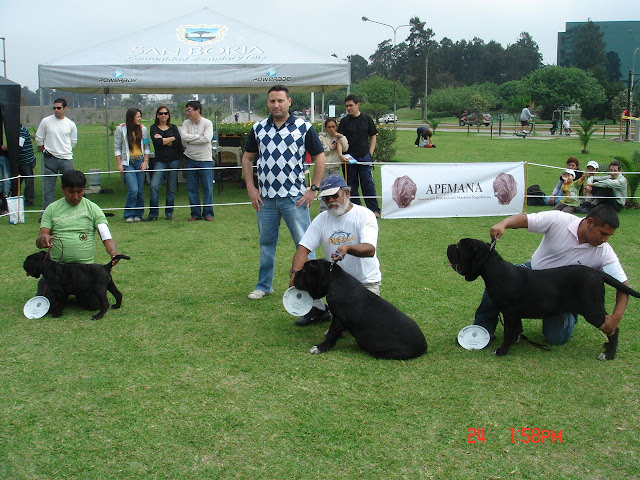 Algunas fotos del 5to match (Clase Cachorros) DSC00938