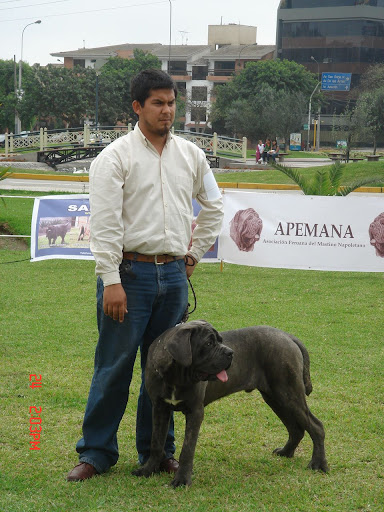 Algunas fotos del 5to match (Clase Cachorros) DSC00950