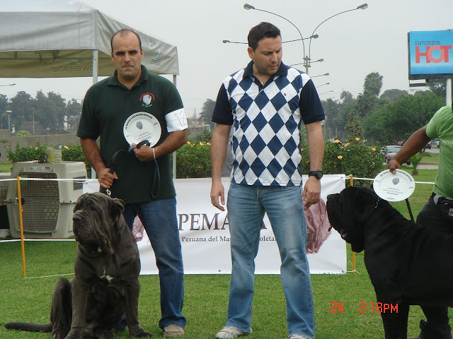 Algunas fotos del 5to match (Clase Cachorros) DSC00990