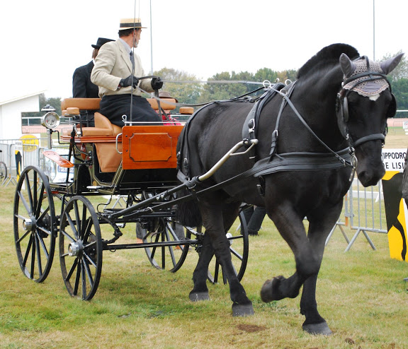 Championnat de France et journées internationales de l'attelage: Lisieux 2009 Coulisse%20%2822%29