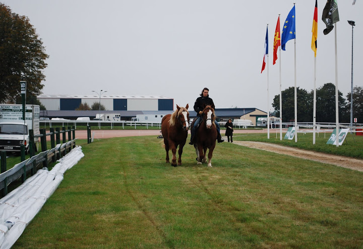 Championnat de France et journées internationales de l'attelage: Lisieux 2009 Coulisse%20%2877%29