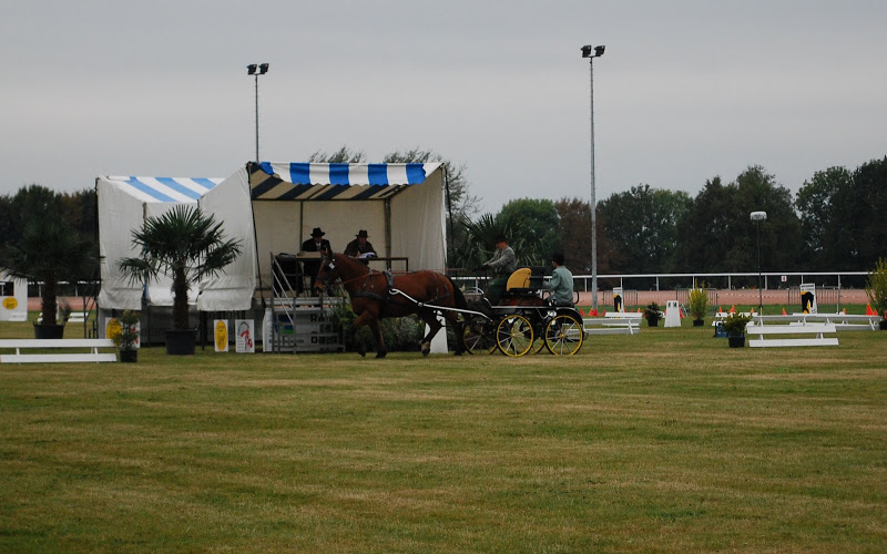 Championnat de France et journées internationales de l'attelage: Lisieux 2009 Dressage%20%2823%29