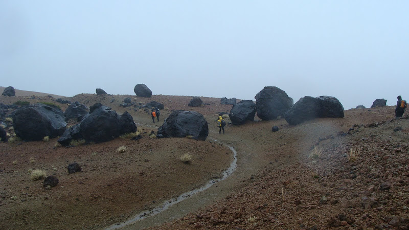 Gran Canária e Tenerife 494