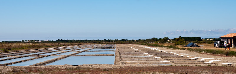 Sortie photo sur Oleron (17) Samedi 07 Aout 2010 à 10h00 - Page 5 20100807_14_marais_salant_D90_DSC_4715-2