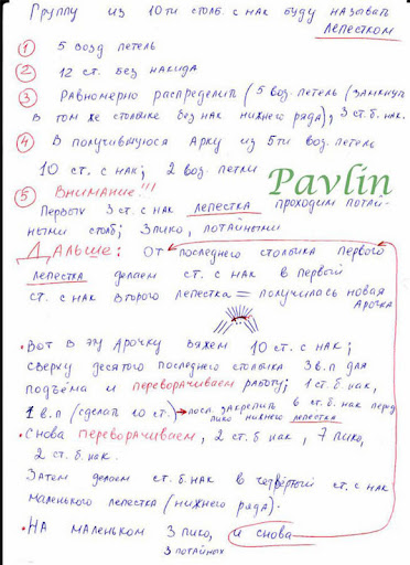    Pavlin_1