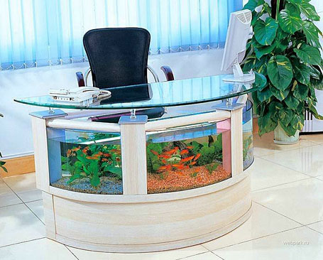 توظيف جميل لاحواض السمك في المنزل Aquarium-office