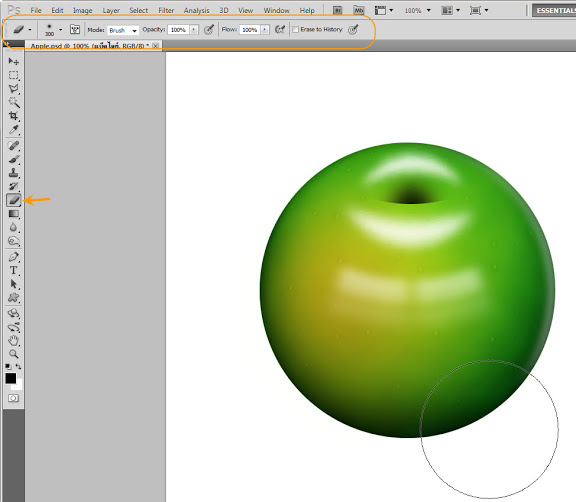 เทคนิคการวาดรูปแอบเปิ้ลสวยๆ Apple41