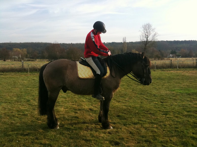 Quand deux copines se retrouvent et mettent leurs chevaux ensemble... Igor1