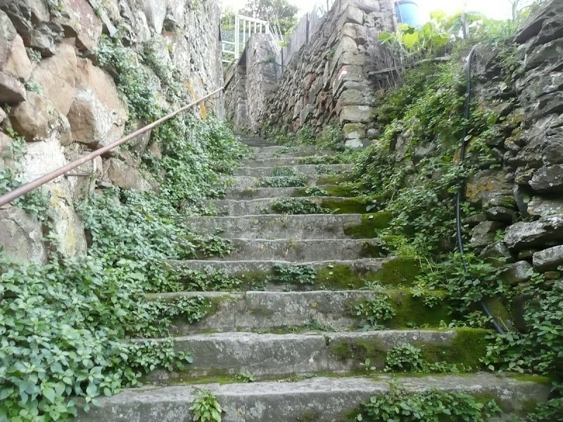 voyage au cinque terre pour de documenter Cinque%20terre008