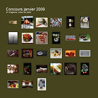 COLLAGES con Picasa3 Concours%20janvier%202009