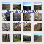 COLLAGES con Picasa3 Sierra%20de%20Cebollera%2C%20Cascadas%20de%20Puente%20Ra%20%2C%2009-11-2008