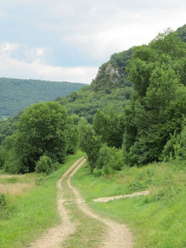 Pendant que certains "équirandonnaient"... nous étions dans le Jura (compte-rendu fini !) - Page 2 20100724_537