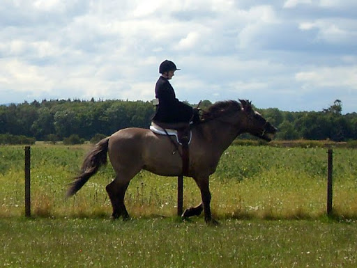 Memo et Angus 2010 et 2011 SDC10863