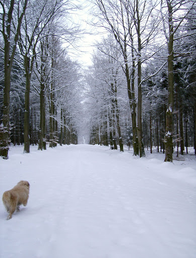 Une deuxième dans la neige.... 022