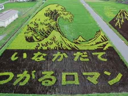 Arte no arrozal. Rice_Field_Art_5