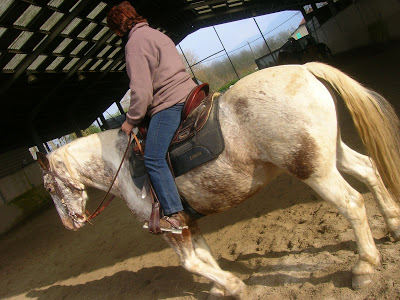 Prochaine session Western Dimanche 16 novembre au Haras des îles à Moirans - Page 8 DSCN2963