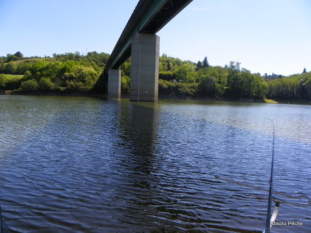 Loire: j'ai pas trouvé la flotte... 101_8267